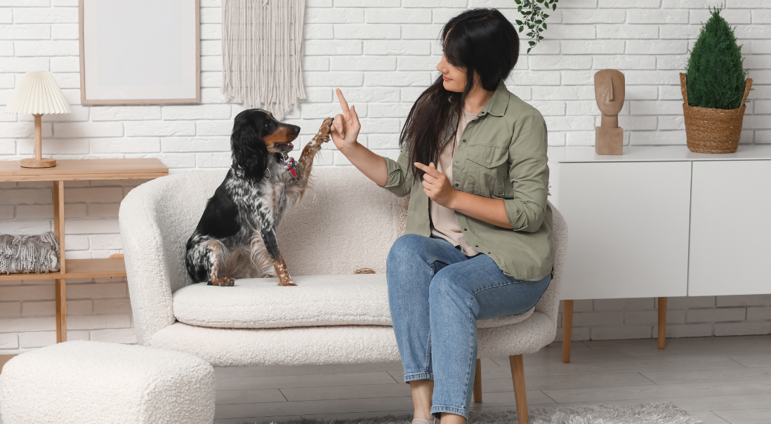 אימון עם כלב לביטחון עצמי